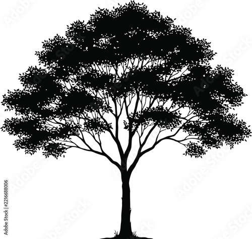 Tree vector silhouette with detailed branches and foliage
