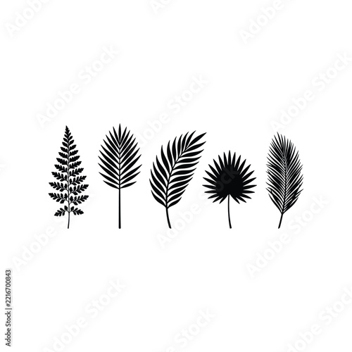 Tropical palm tree leaves silhouette vector set