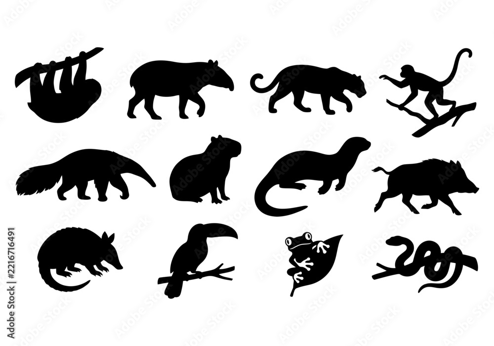 Fototapeta premium Rainforest wildlife silhouette set of jungle animals vector