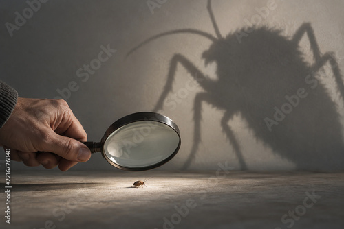 Tiny Bug Casts Giant Shadow Through Magnifying Glass