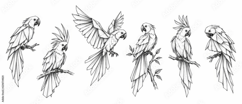 Fototapeta premium Hand Drawn Bird Illustration Collection