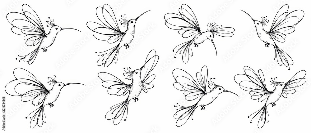 Fototapeta premium Hand Drawn Bird Illustration Collection