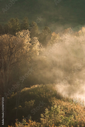 morning mist over the valley