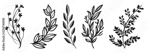 Black botanical foliage sprig set with hand drawn line art