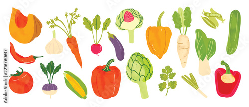 Fresh Vegetable Collection Vector with Pumpkin, Carrot, Radish, Eggplant, Tomato, Corn, Artichoke, Cucumber and Leafy Greens for Healthy Food Illustration, Kitchen Decor, Grocery Print, Recipe Design