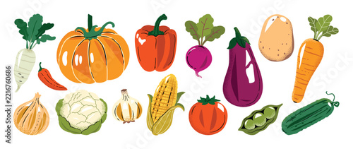 Fresh Vegetable Collection Vector with Pumpkin, Pepper, Radish, Eggplant, Potato, Carrot, Onion, Cauliflower, Corn and Tomato for Healthy Food Illustration, Kitchen Print, Grocery Design