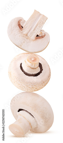 Three mushroom champignon