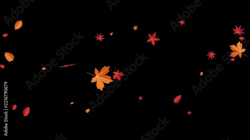 Vibrant animated autumn maple and various leaves gently falling and blowing seamless loop motion