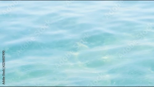 Ripples spread across the surface of bright blue water as sunlight shines down. A beach is visible in the distance, and the atmosphere is bright and