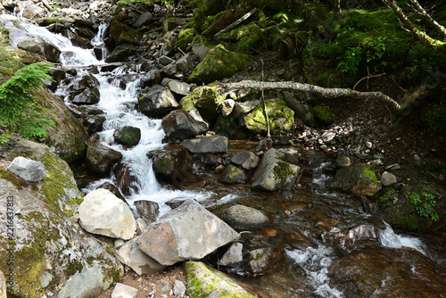 Climbing Mt. Io-dake and Mt. Yoko-dake, Yatsugatake, Nagano, Yamanashi, Japan