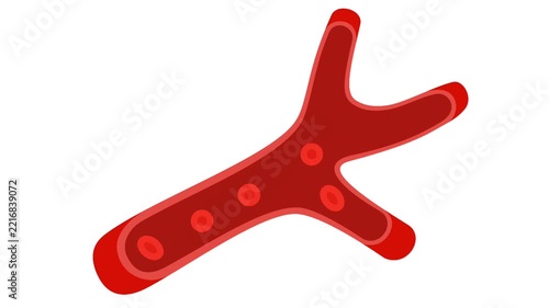 Healthy blood flow inside clean artery vessel animation, medical concept with red blood cells circulating.