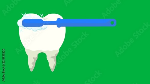 Toothbrush cleaning a human tooth with foam bubbles animation, dental care concept on green screen background.