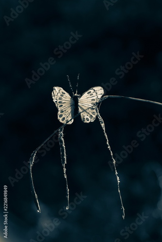 Fake white butterfly on the grass