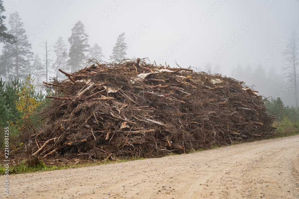 Naklejka premium Large pile of cut branches and woody debris stands beside an unpaved forest road in fog, illustrating collected logging residues at a roadside stage of forestry operations