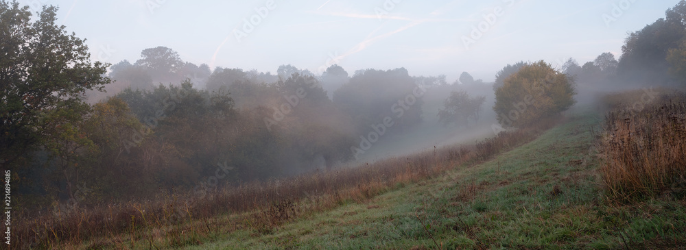 Fototapeta premium Über den Feldern am Waldrand liegt der Dunst und Nebel über der Landschaft