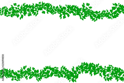 Elegant Green Foliage Border Design Featuring Lush Fresh Leaves Arranged in Horizontal Parallel Lines for Natural Botanical Frames