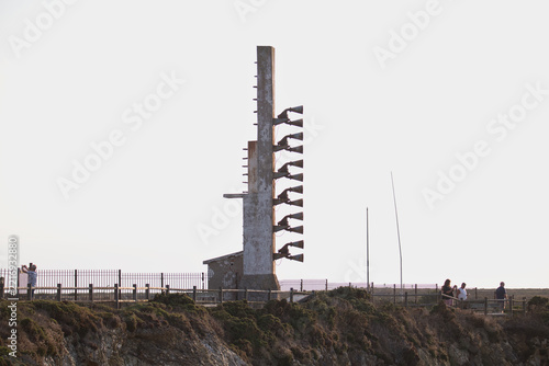 Fotografie Marine trumpets