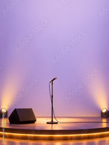 Microphone stand and wedge monitor on a curved wooden stage with space