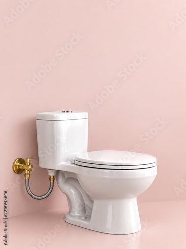 White Ceramic Toilet with Brass Supply Valve on a Pale Pink Surface