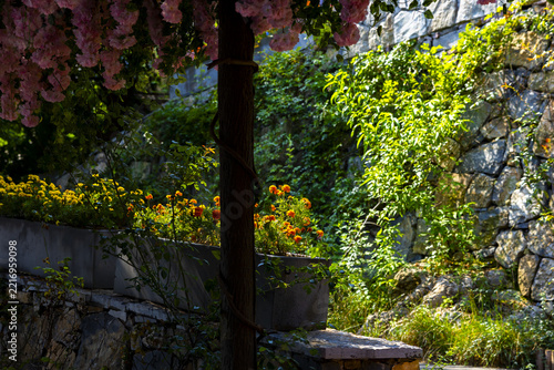 Sunlit Stone Courtyard Garden with Blooming Pink Flowers