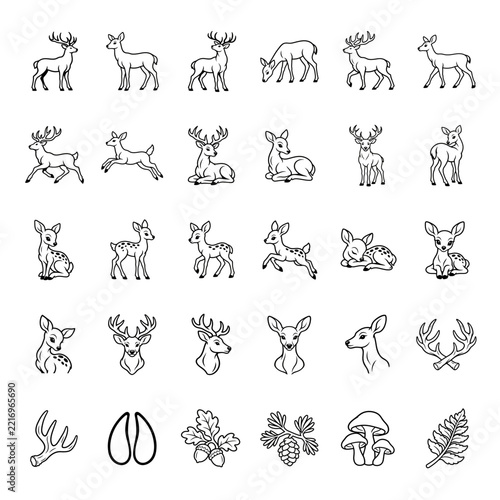 Deer set line art icons with antlers and forest elements for wildlife
