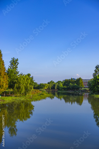 Serene Lake Reflection with Green Trees and Blue Sky in a Peaceful Park Landscape