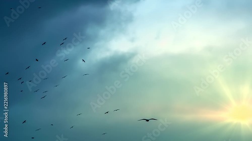 Bird Flock Circling in the Sunlight. A large number of birds circling in the background of the cloudy sky in sunset colors