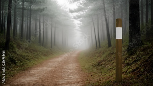 Blank wooden trail marker post in a misty forest, hiking route