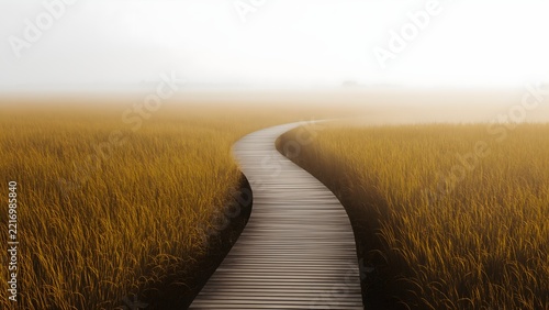Wooden boardwalk through reeds in a wetland, nature reserve path