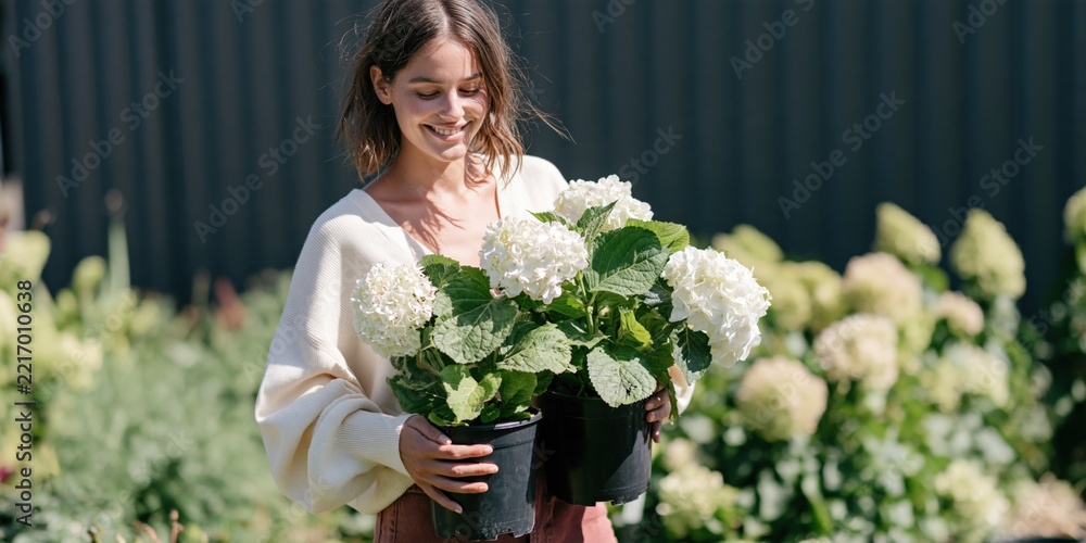 Fototapeta premium Young woman holding white hydrangea potted plants in a garden for seasonal gardening banner and floral background