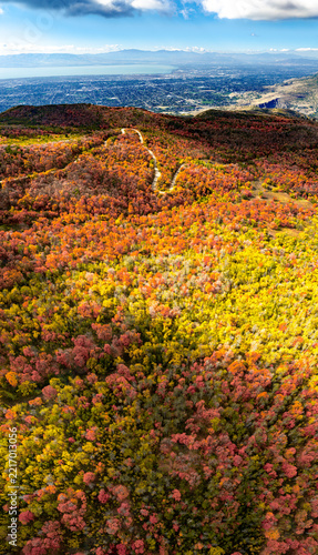 Autumn color forest with a winding road above an urban valley below - aerial view