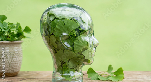 Naturheilmittel Ginkgo für das Gedächtnis & Konzentration und gegen Demenz, Alzheimer 