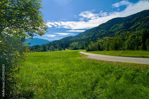 Scenic paved road winding through vivid green meadow and forested mountains under blue cloudy sky