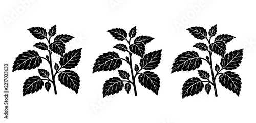 Lemon Balm Leaves Botanical Linocut Vector Set