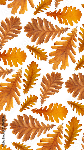 Repeating pattern of orange oak leaves on white background, perfect for seaso...