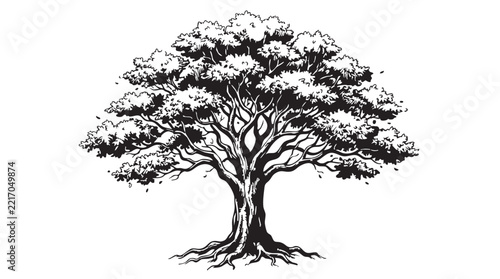 vector tree silhouette