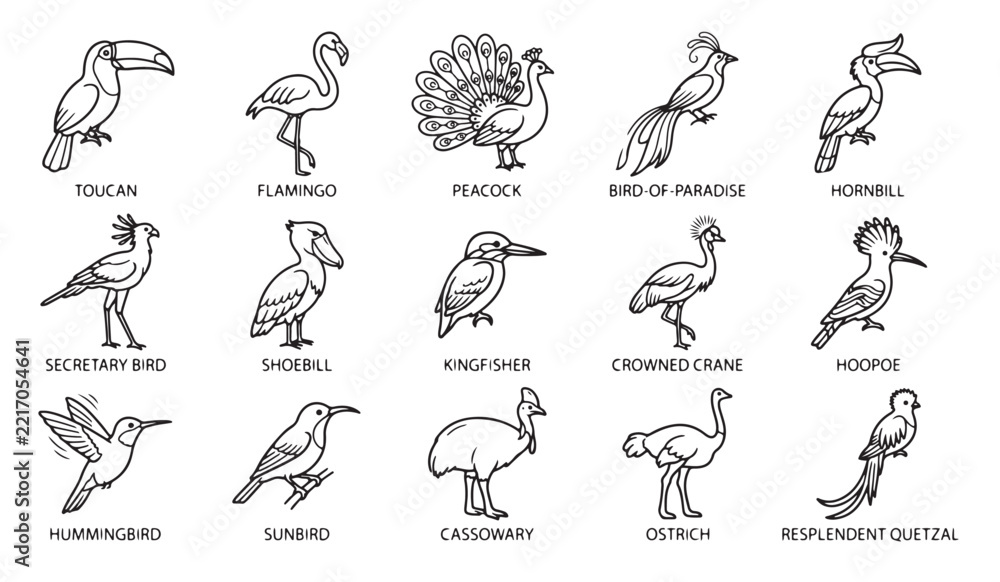 Fototapeta premium Exotic bird
