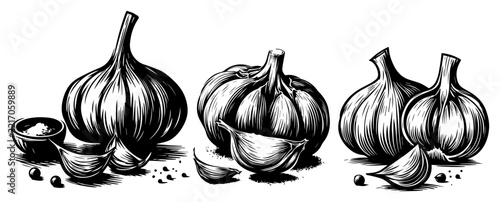 Garlic bulbs and loose cloves in three groups