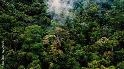An aerial view of dense tropical rainforest in eastern Ecuador, with a layered canopy of varied green foliage and tall emergent trees. Wisps of mist hang above the forest in the distance, emphasizing 