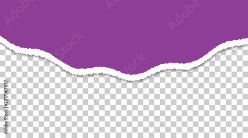 Purple Torn Paper Edge with Rough Ripped Texture and Transparent Background for Graphic Design Projects