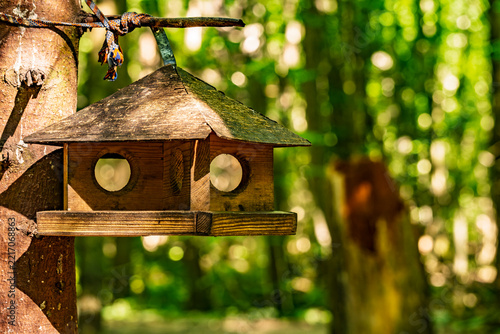Rustic wooden bird feeder hanging on a tree in a sunny forest