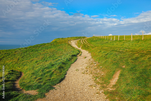 walk way on fresh green grass field against tranquil ocean and blue sky background