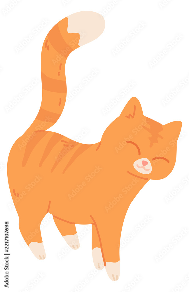 Fototapeta premium Happy cat walking. Pet with joyful face expression