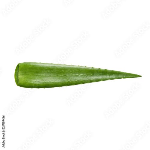 Fresh aloe vera leaf isolated on transparent background