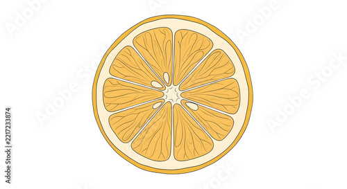 Hand-drawn illustration of an orange fruit slice isolated on a professional transparent background for creative food design projects