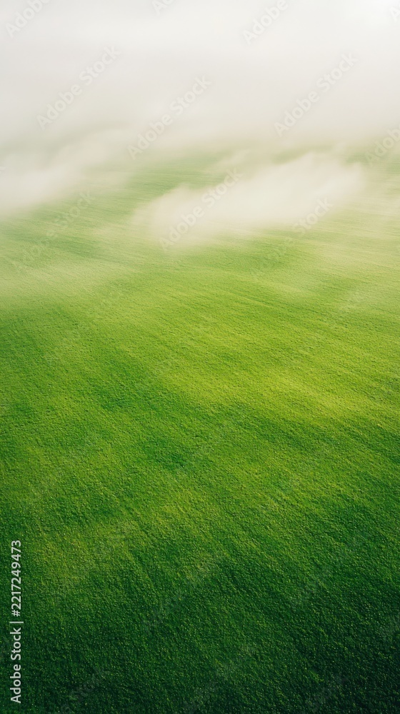 Naklejka premium Aerial green meadow with mist, minimal nature mobile wallpaper