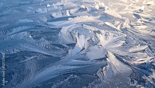 Close-up of intricate ice formations on a frozen surface.