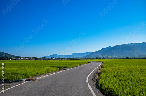 Winding road through lush rice fieldsin in Hualien,Taiwan  