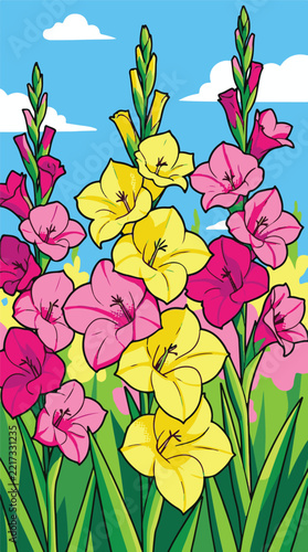 Vibrant blooming gladiolus flowers in pink and yellow under a blue sky in comic vector style.   