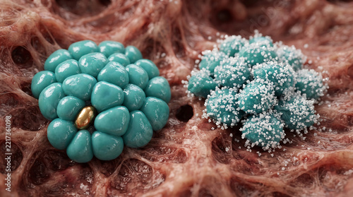 Microscopic view of two different types of skin cell clusters under magnification